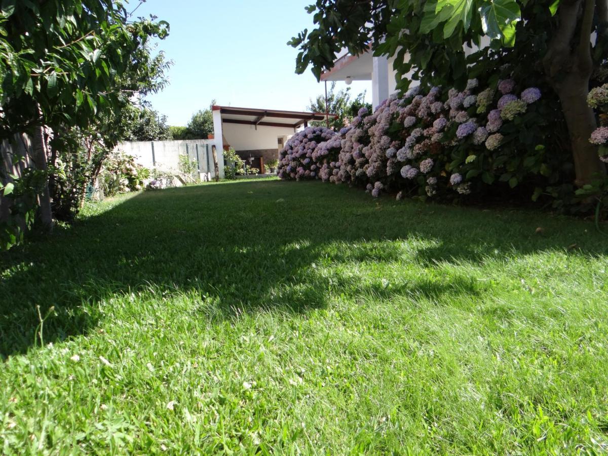 Ribeiro'S House Villa Gafanha da Nazare Bagian luar foto